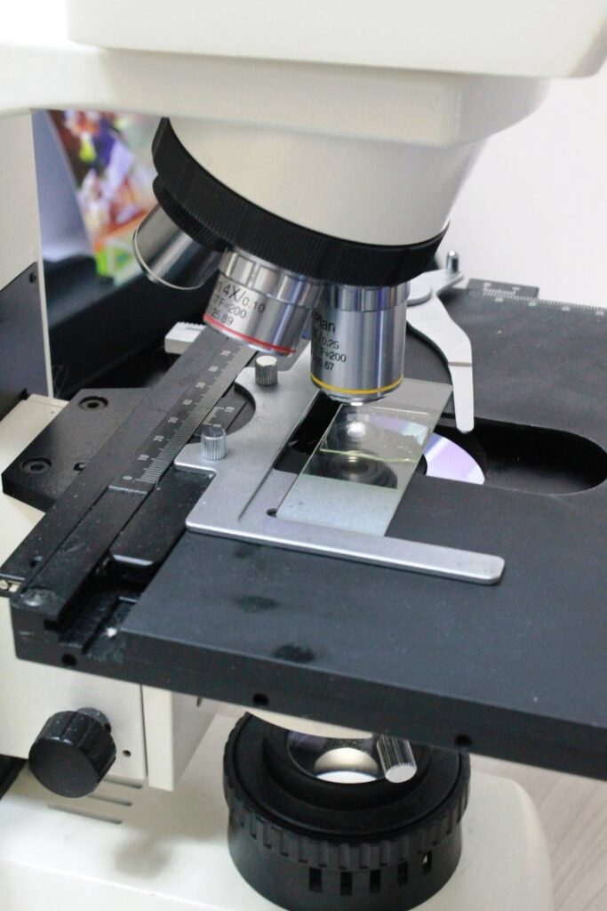 mikroskop-683x1024 Анализ мочи бактериологический