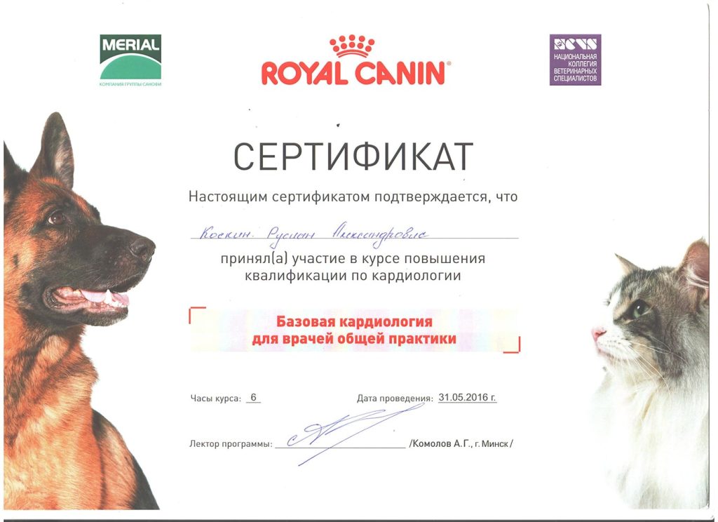 sertifikat-kochkina-r-a-bazovaya-kardiologiya-dlya-vrachej-2016-1024x744 Кочкин Руслан Александрович
