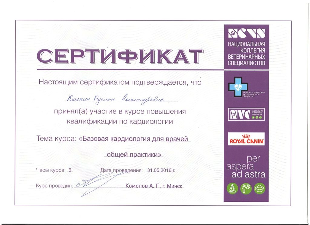 sertifikat-kochkina-r-a-nacionalnaya-veterinarnaya-konferenciya-2016-1024x744 Кочкин Руслан Александрович