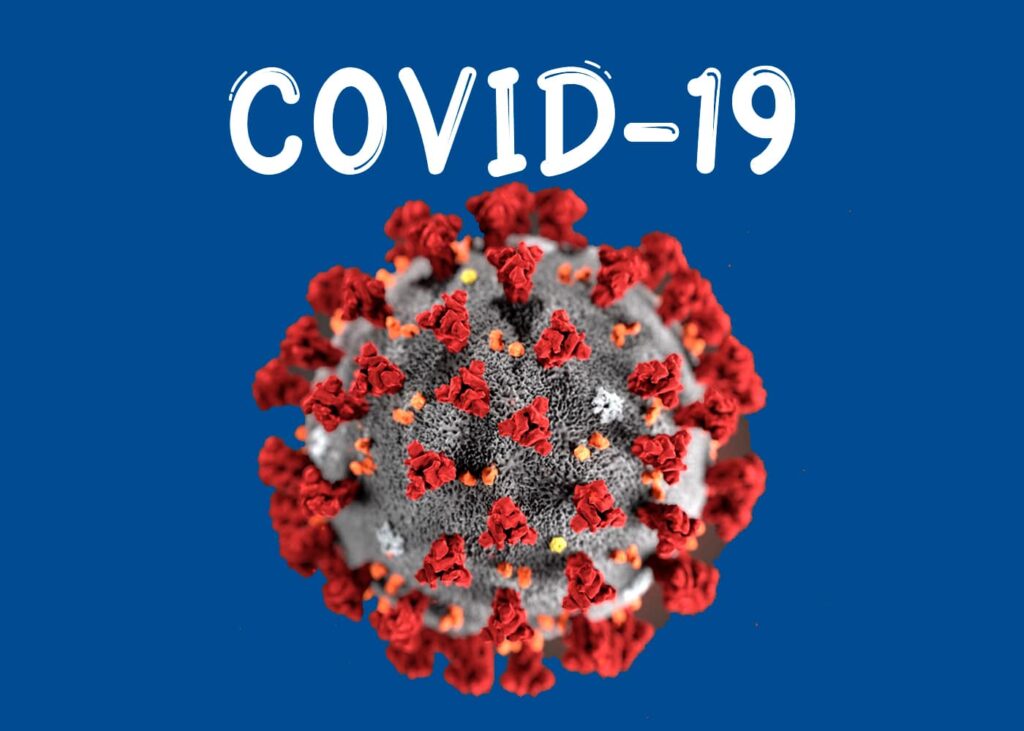 koronovirus-u-zhivotnyh-1024x731 Животные и коронавирусная болезнь 2019 года (COVID-19)
