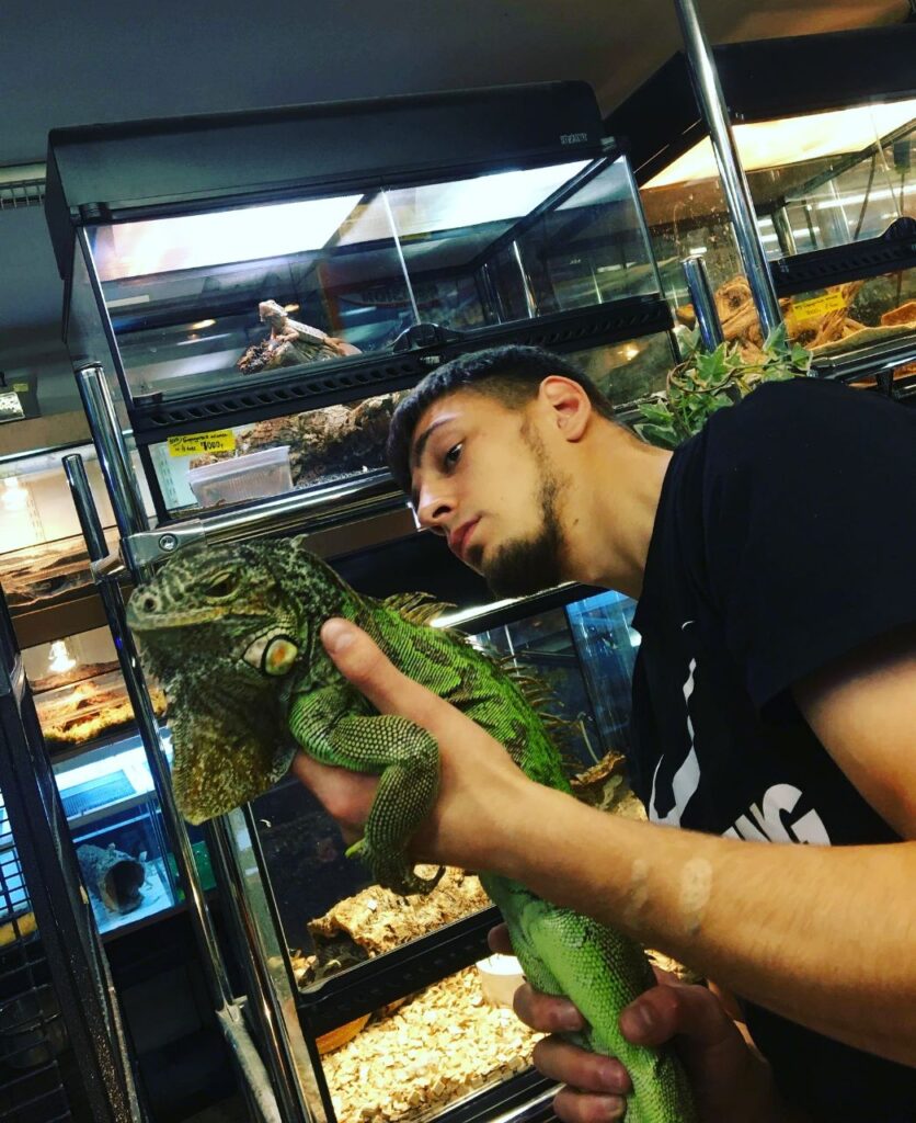 veterinarnyj-vrach-nikolaev-yaroslav-s-iguanoj-836x1024 Интервью с ветеринарным герпетологом Николаевым Ярославом