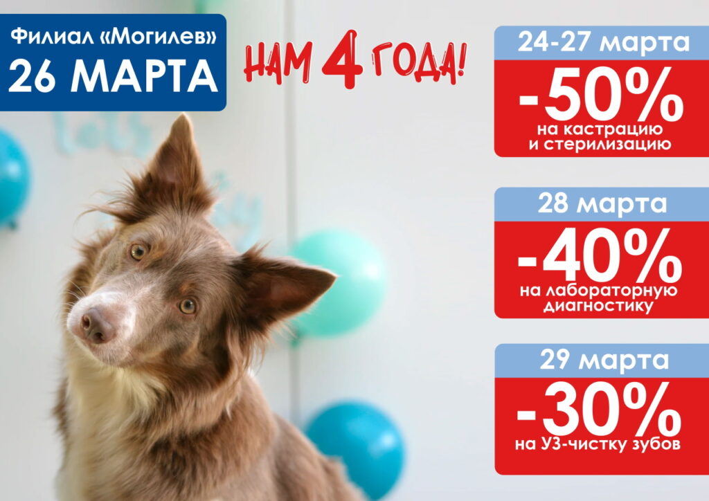 filialu-mogilyov-4-goda-1024x724 26 марта филиалу Могилёв исполняется 4 года