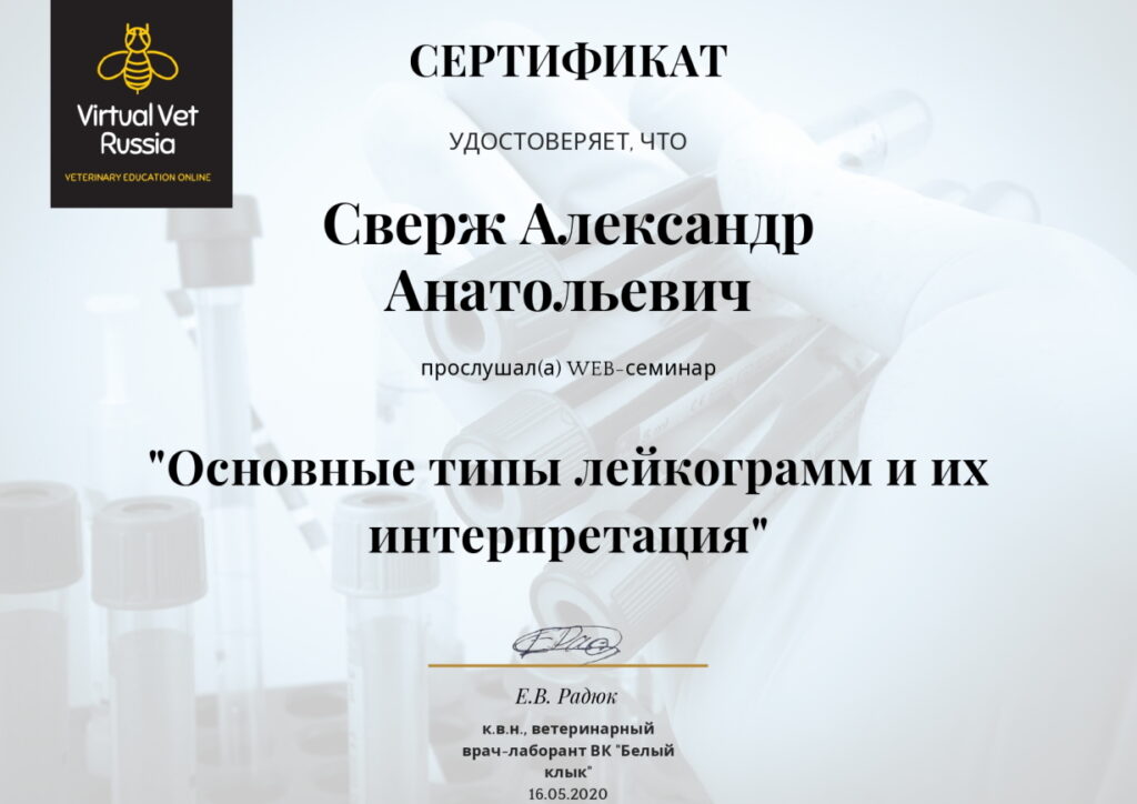 sertifikat-sverzh-aleksandr-anatolevich-4-1024x724 Сверж Александр Анатольевич