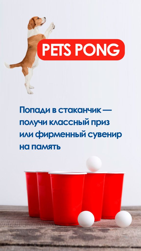 bir-pong-yarkoe-meropriyatie-leta-576x1024 Хотим поделиться с Вами новостями о ярком мероприятии лета