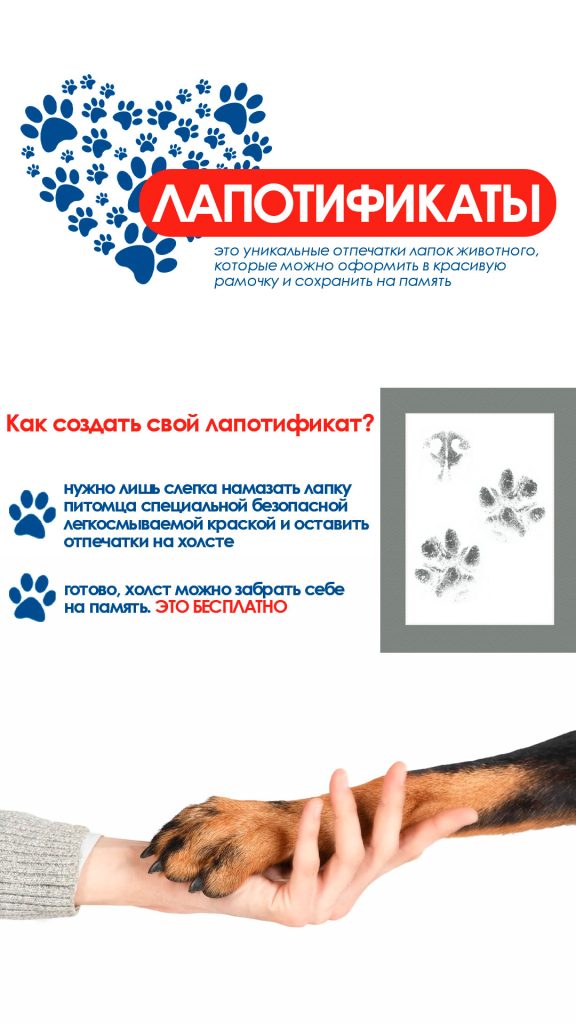 lapa-yarkoe-meropriyatie-leta-1-576x1024 Хотим поделиться с Вами новостями о ярком мероприятии лета