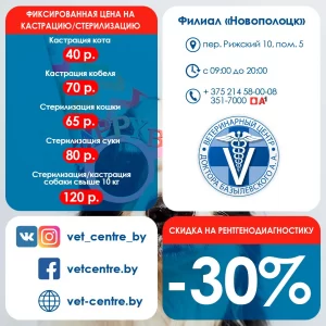 pyat-let-filialu-novopolock--300x300 Филиалу "Новополоцк" 5 лет!