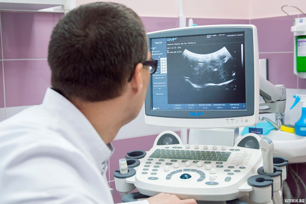 veterinarnyy-vrach-provodit-uzi Общая информация по ультразвуковой диагностике (УЗИ)