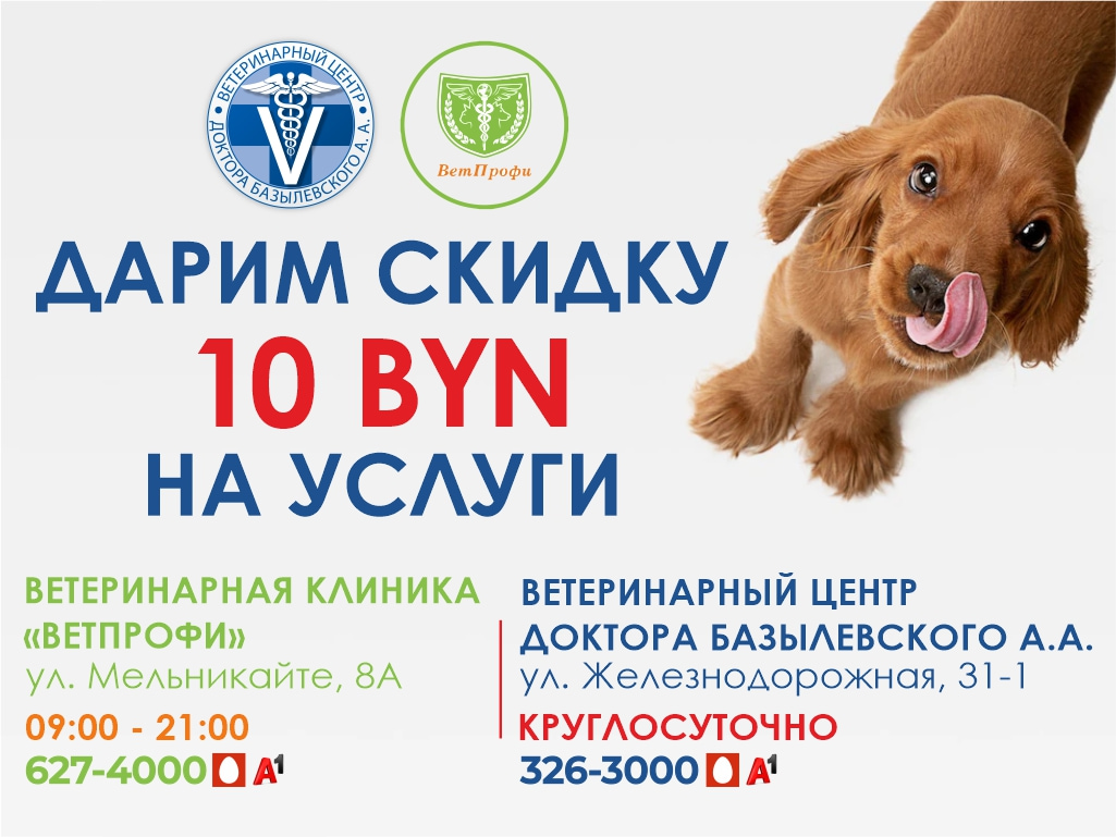 kupon-na-uslugi Специальное предложение совместно с клиникой «ВетПрофи»