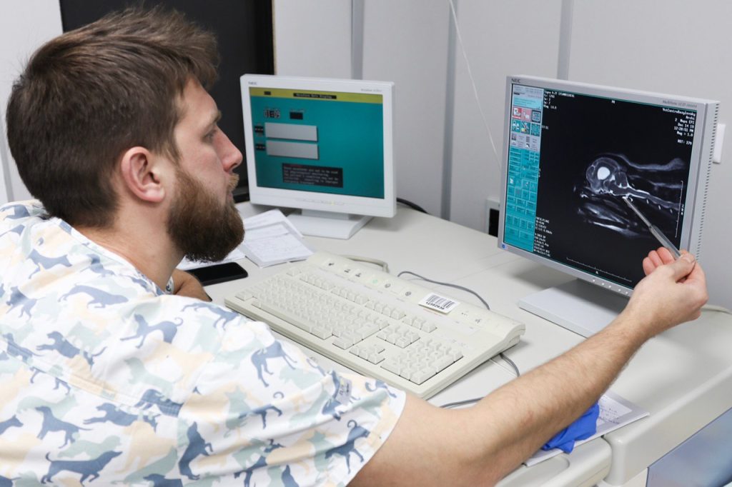 veterinarnyj-vrach-orlov-i-v-franshiza-1024x682 Франшиза