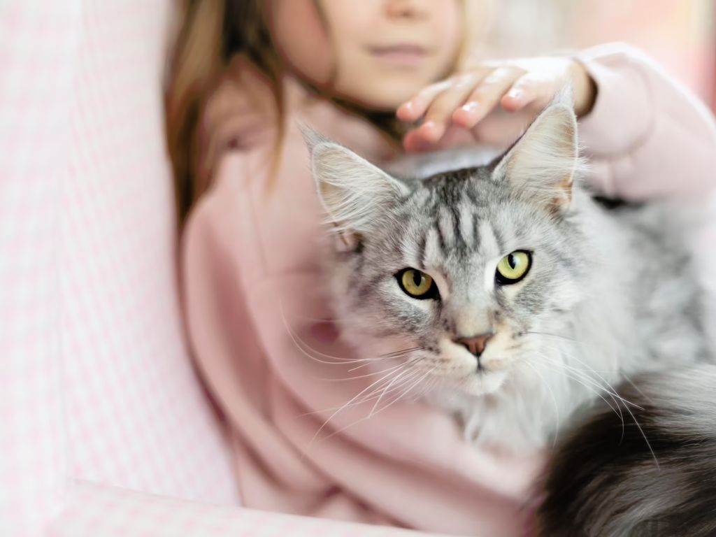 hozyayka-gladit-pushistogo-kota Нефрит у кота: как лечить?