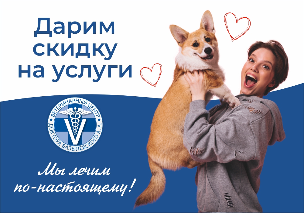 skidka-na-uslugi-vetcentr-bazylevskogo Дарим скидку на услуги!