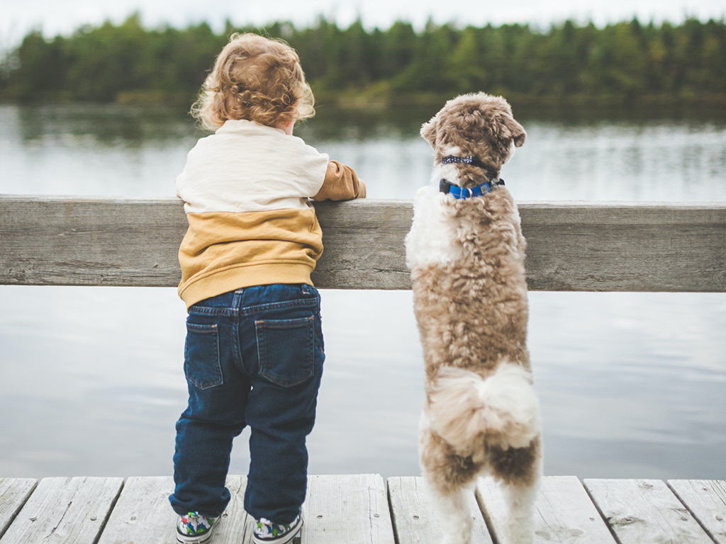 vozrast_sobaki-5 Возраст собаки по меркам человеческой жизни: таблица и формула расчета