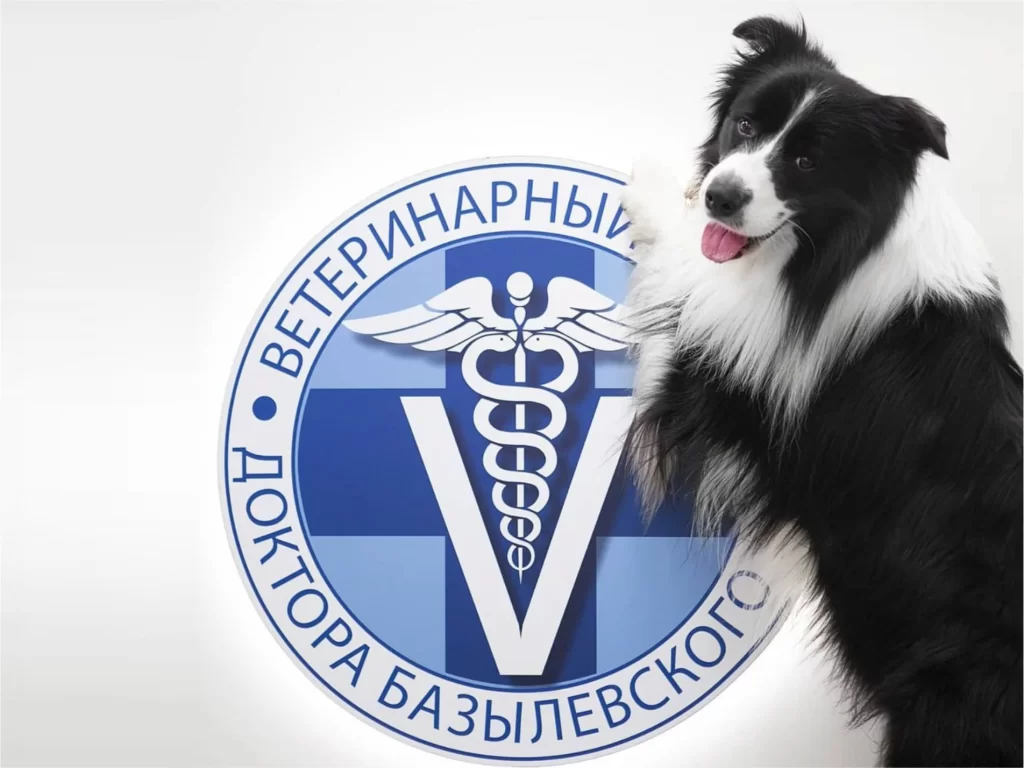 sobaka-s-logotipom-1024x768 О нас