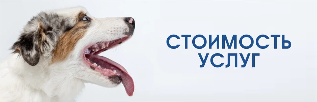 uslugi-1-1024x330 Цены