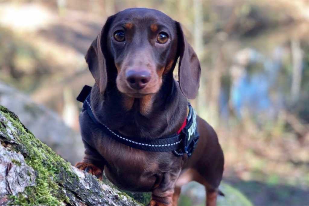 Что такое «хирургический пациент» ?