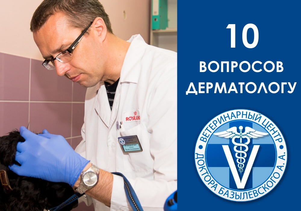 10 вопросов врачу-дерматологу Руслану Кочкину