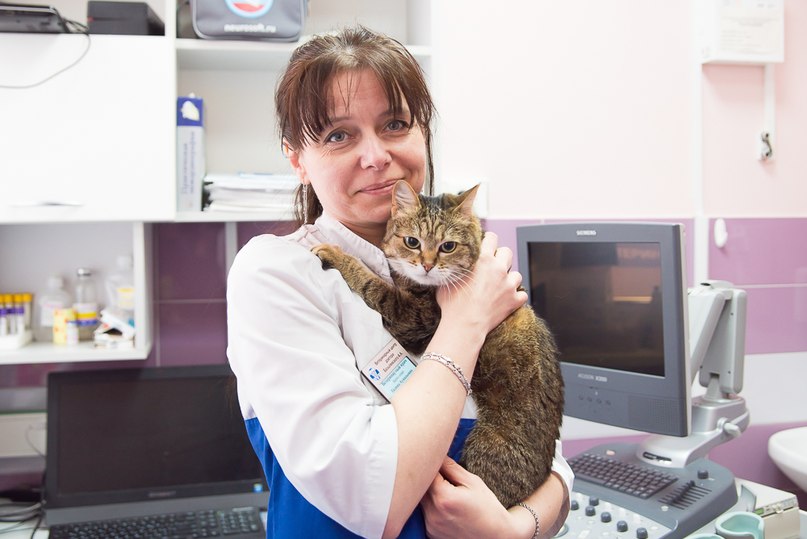 Ветеринарный врач