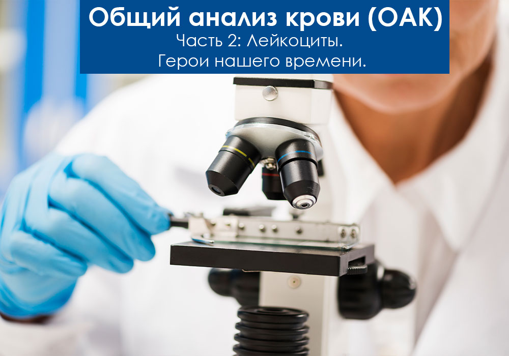 Общий анализ крови. Лейкоциты