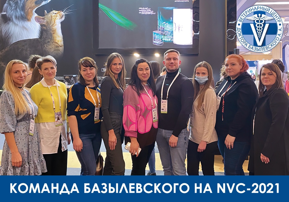 Команда Базылевского на NVC-2021