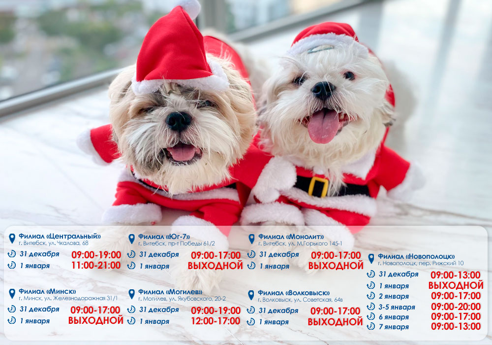График работы на новогодние праздники