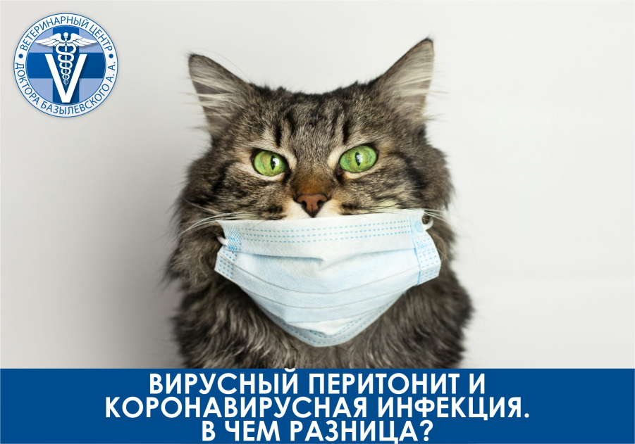 Вирусный перитонит и коронавирусная инфекция