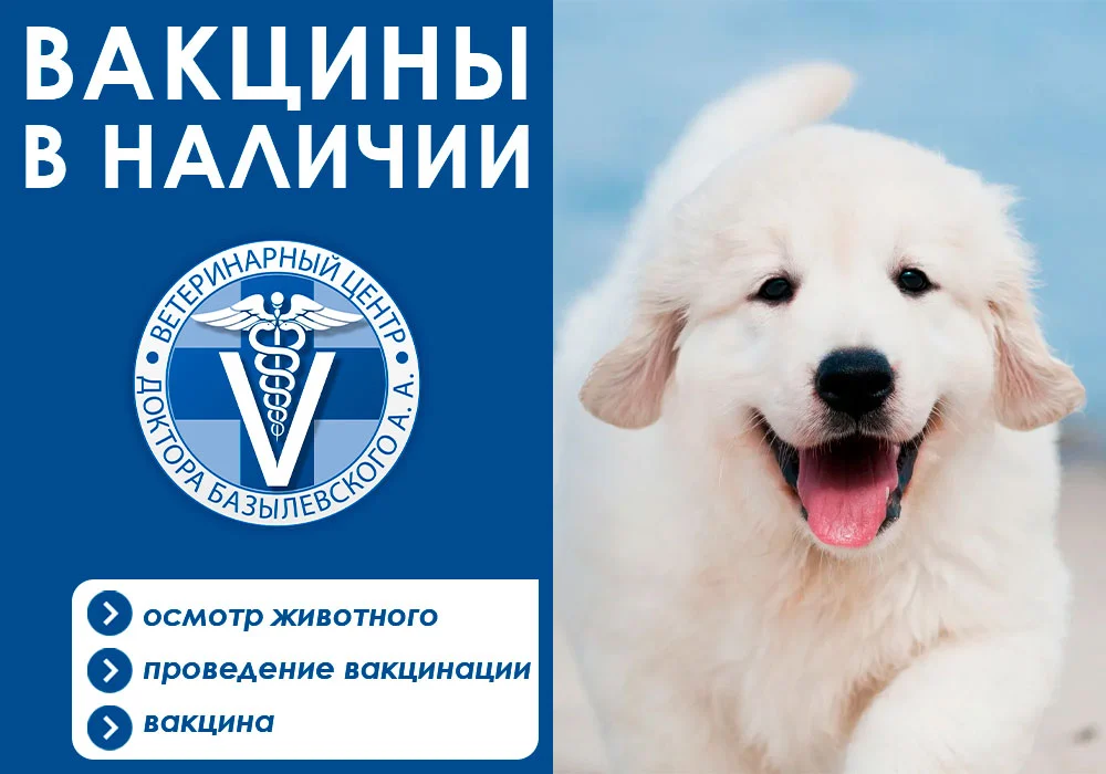 importnye-vakciny-dlya-koshki-i-sobaki