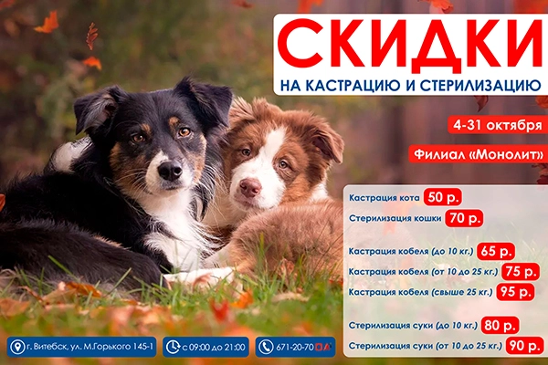 akciya-na-kastraciyu-i-sterilizaciyu