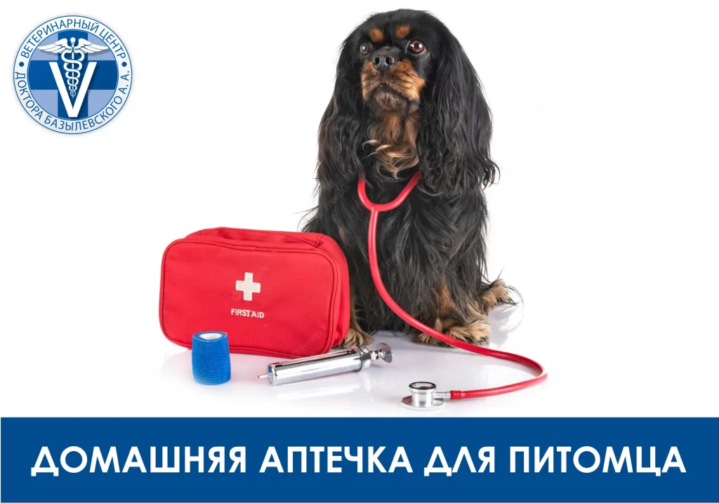 Аптечка для домашнего питомца