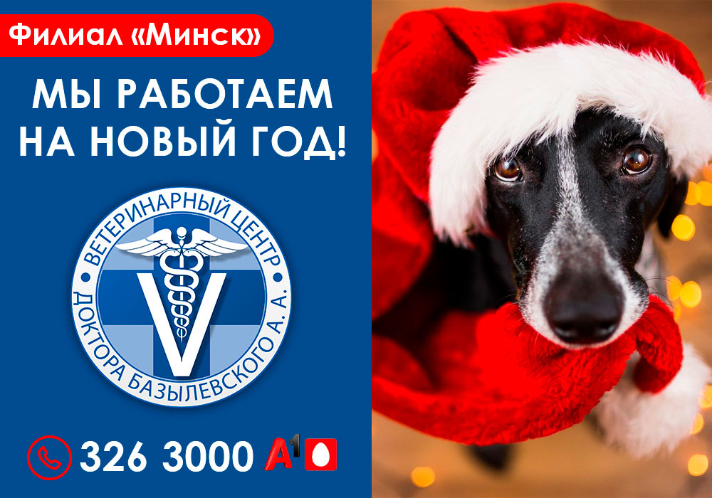 Мы работаем в новогоднюю ночь