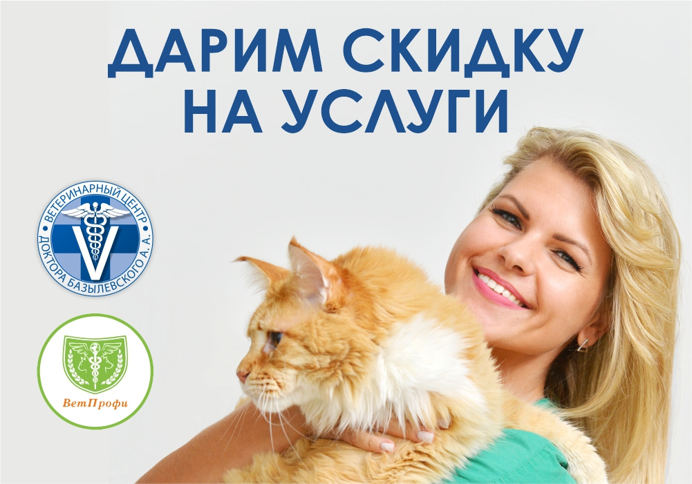 Дарим скидку на услуги