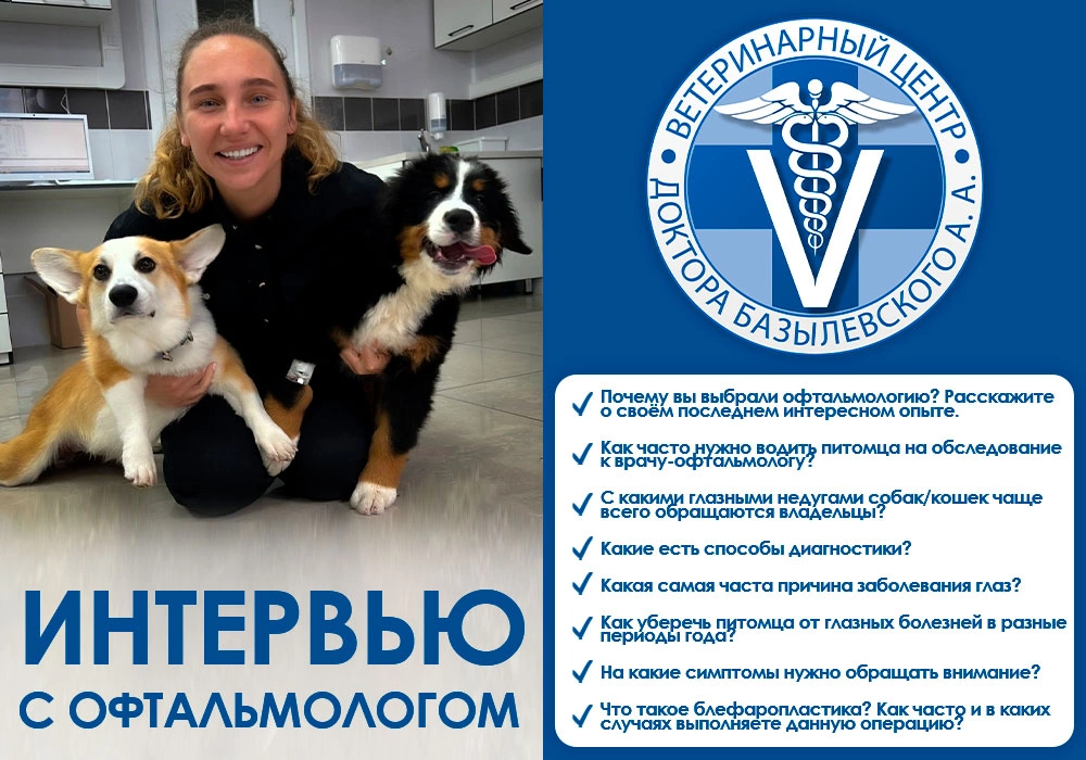 Интервью с ветеринарным офтальмологом