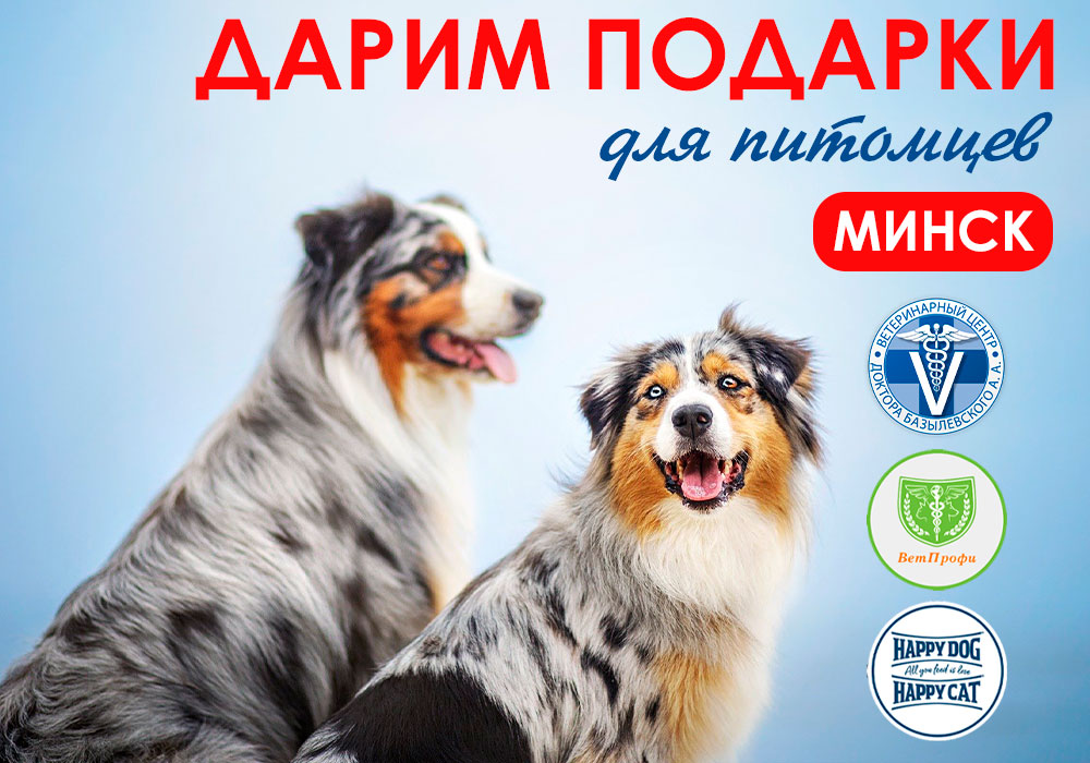 Дарим подарки от Happy Dog