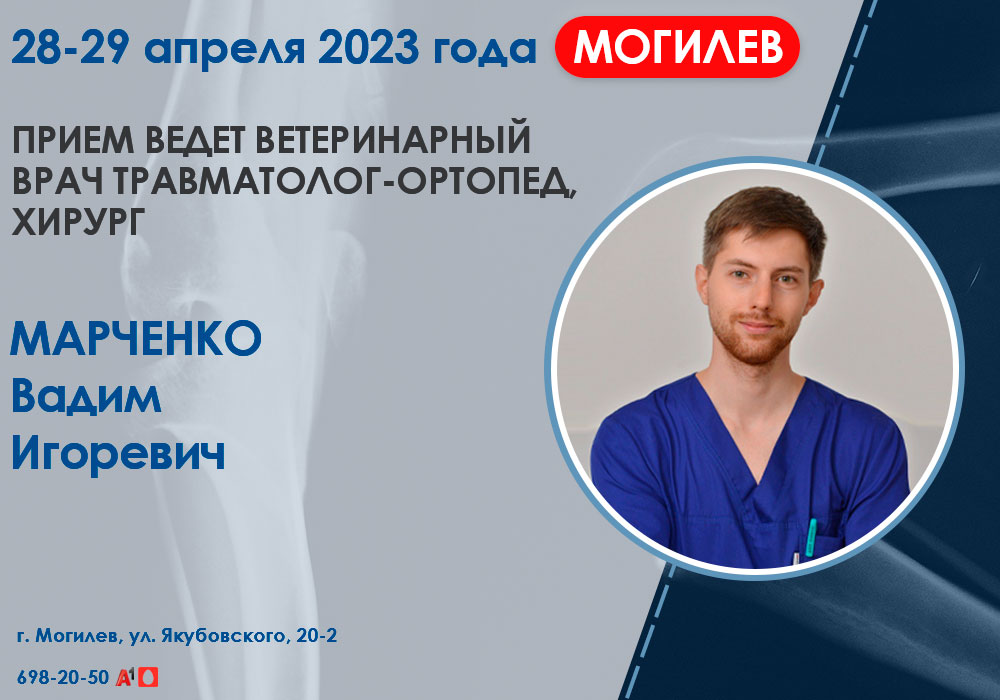 Приём врача травматолога-ортопеда в Могилеве