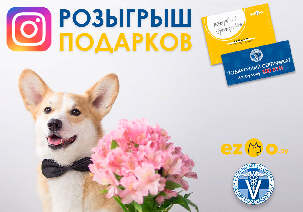 Розыгрыш совместно с ezoo