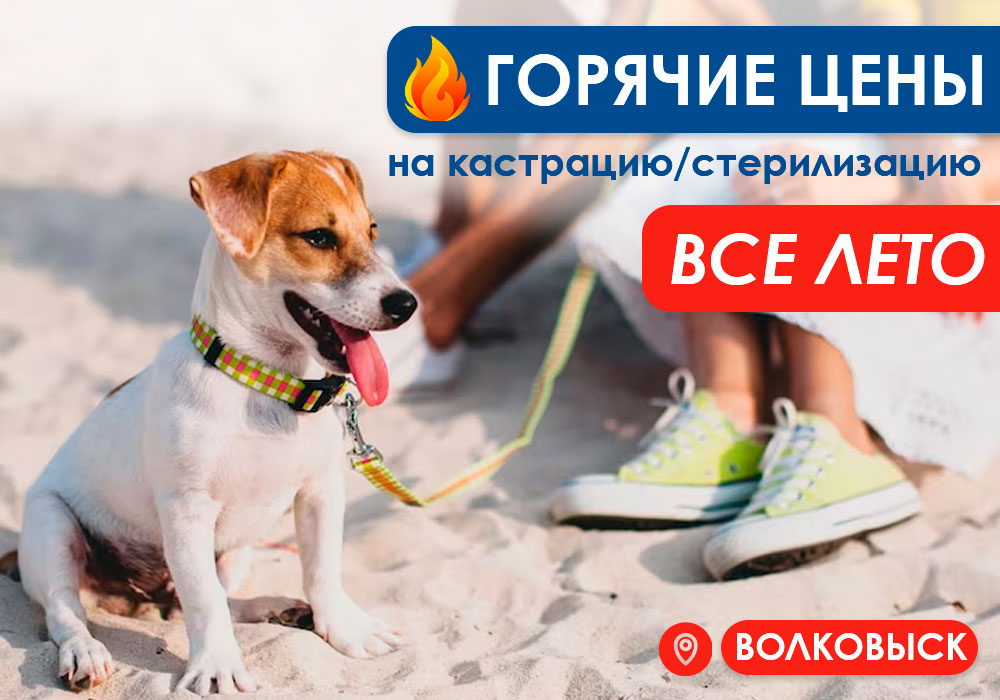 кастрация и стерилизация Волковыск