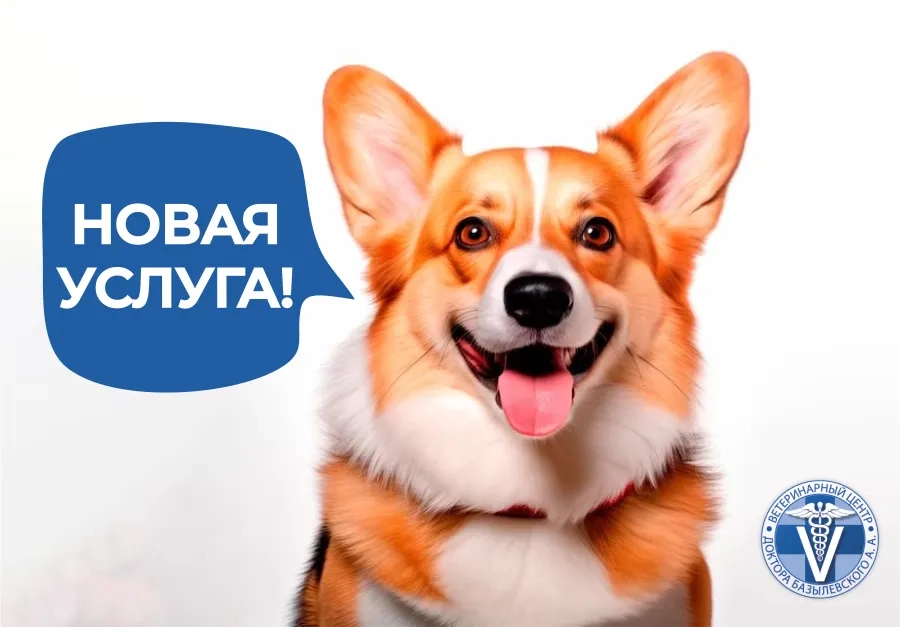 Новая услуга