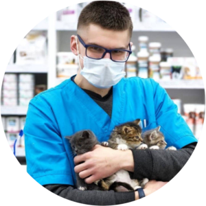 Романовский Дмитрий Иосифович ветеринарный врач