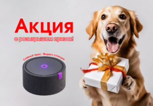 Новогодний розыгрыш подарков!