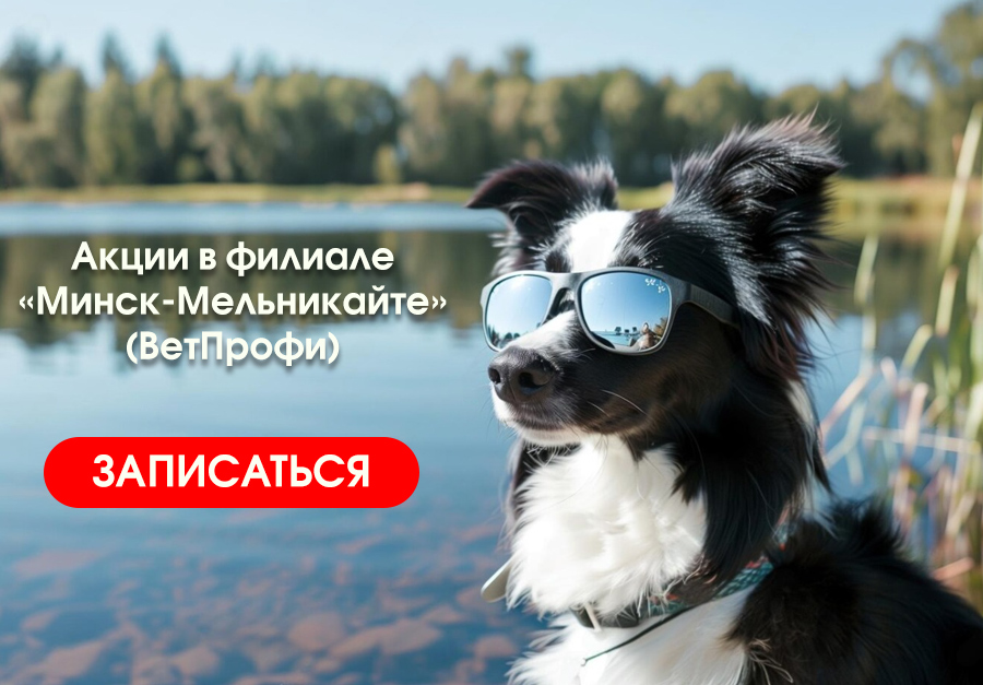 Акции июля "Минск-Мельникайте"