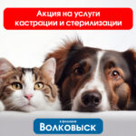 Акции на услуги в филиале «Волковыск»