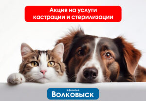 Акции на услуги в филиале «Волковыск»