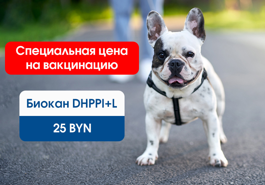 Акция на вакцинацию