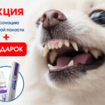 Акция на санацию ротовой полости