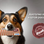 Доступна оплата картой рассрочки «Халва»