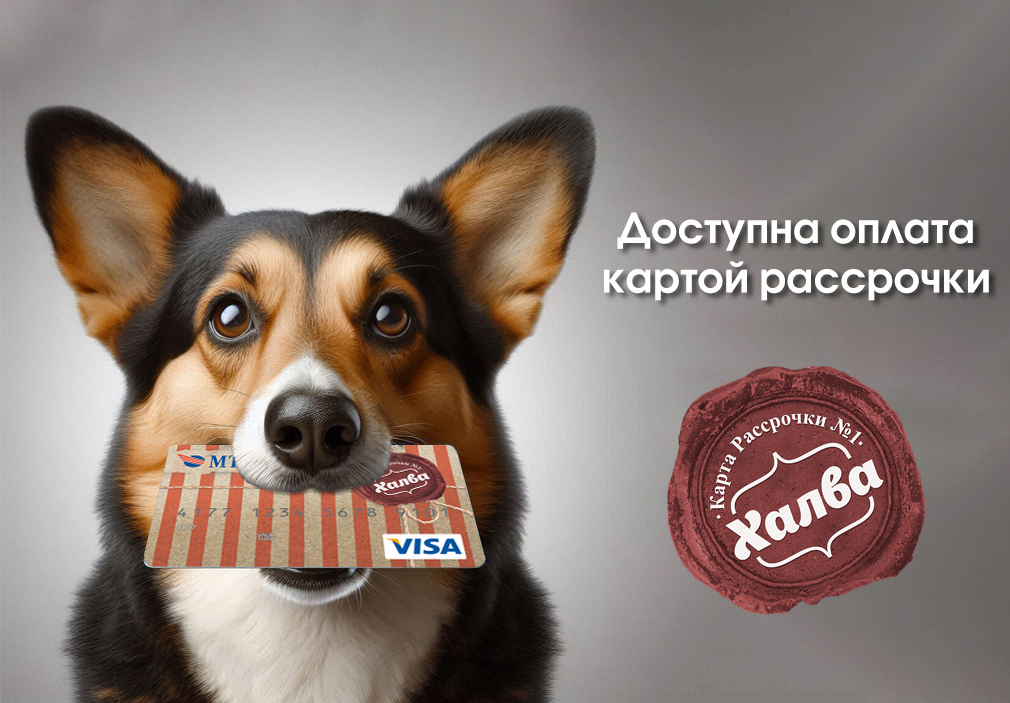 Химиотерапия