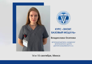 14-15 сентября 2024 года курс «ЭХОКГ. Базовый модуль» в Минске