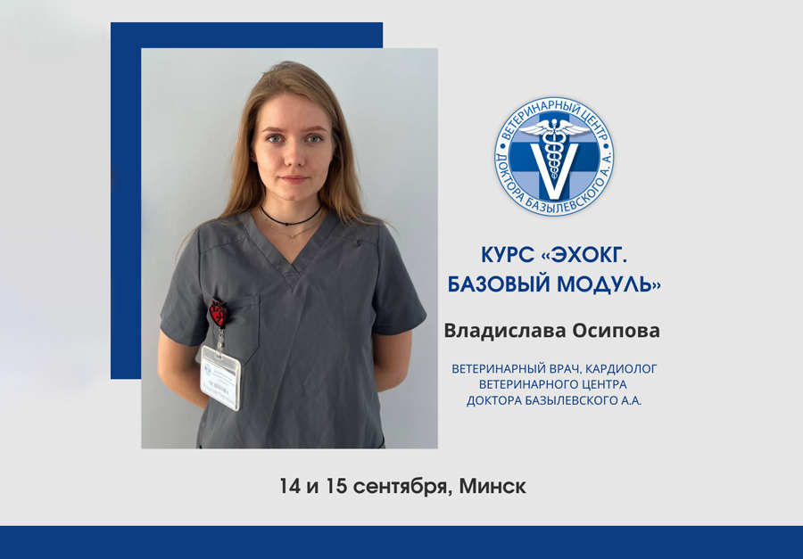 Химиотерапия