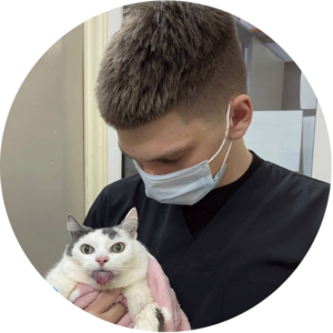 Ратомский Глеб Геннадьевич