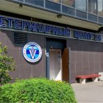 Балтийская жемчужина