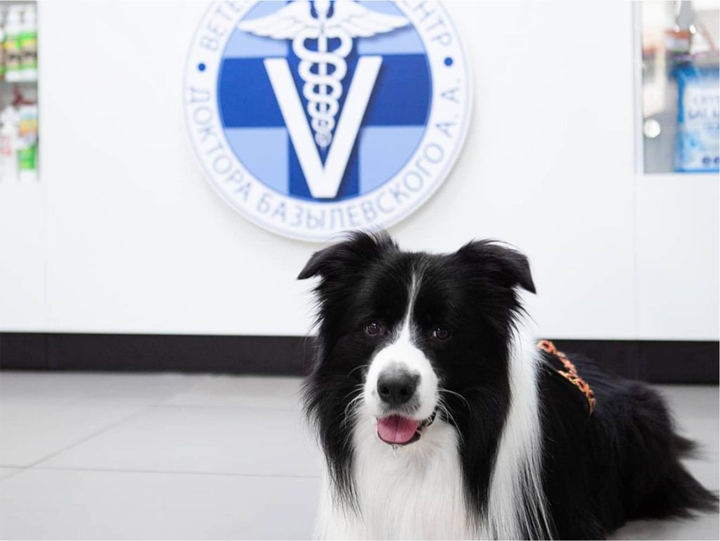 Новополоцк